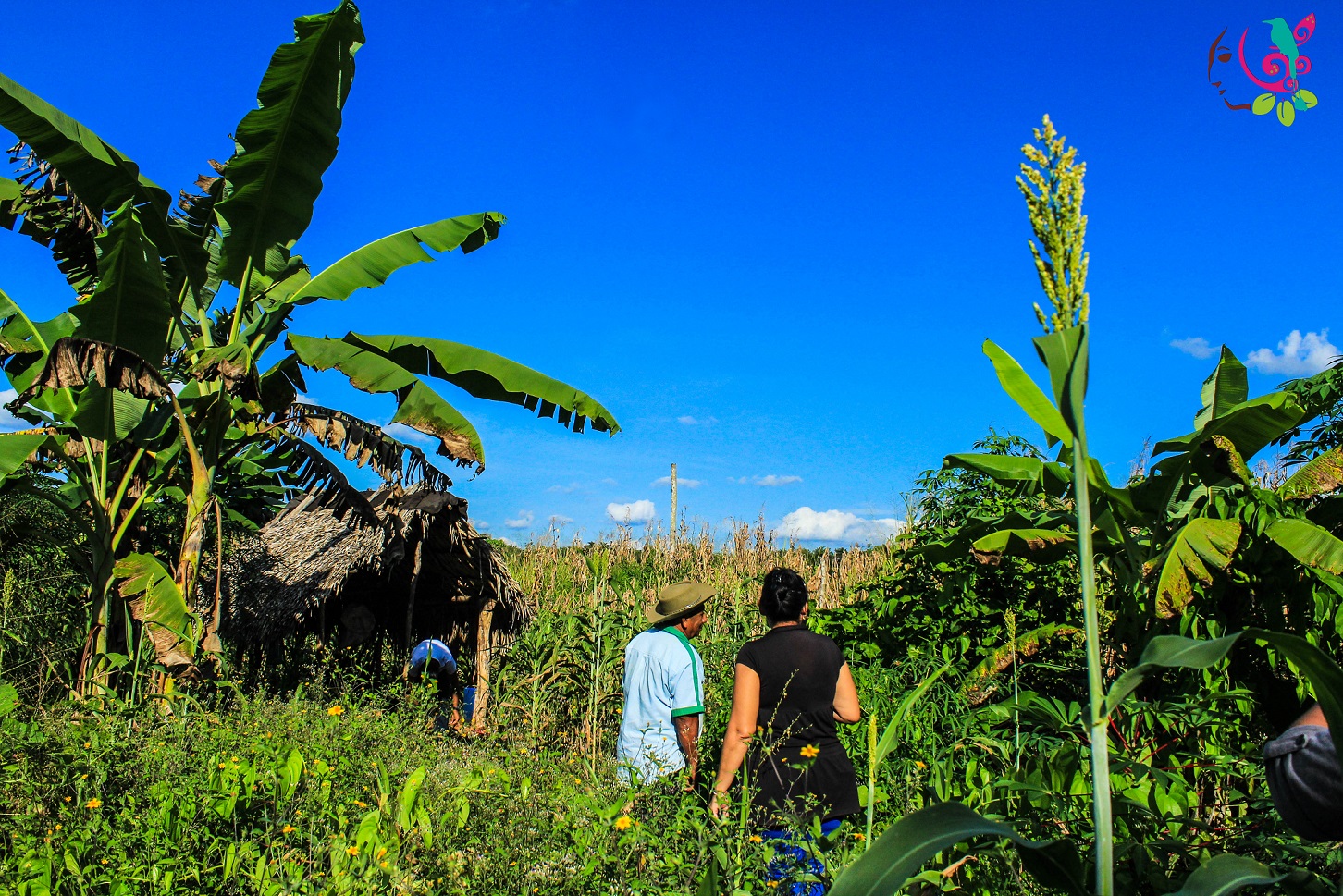 Turismo comunitario, la opción en medio de la pandemia 